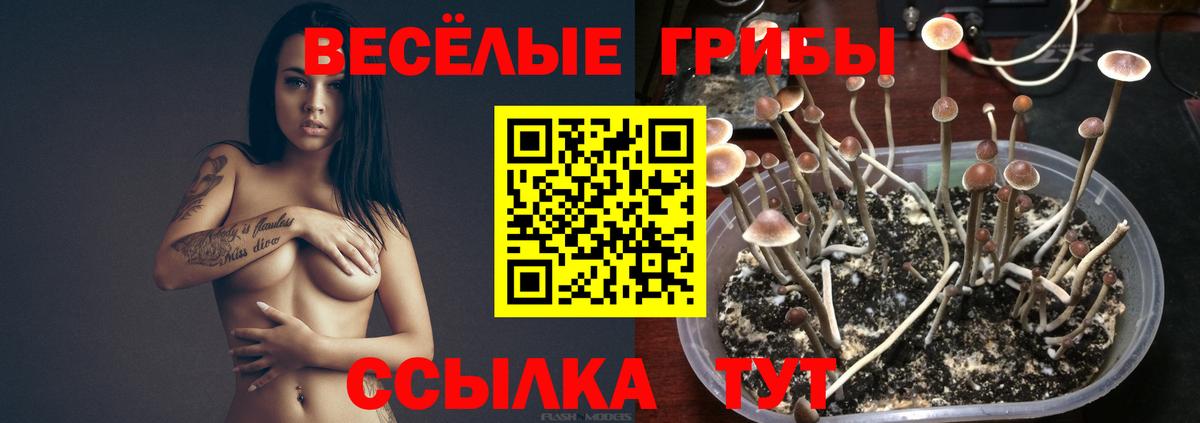 Галлюциногенные грибы прущие грибы Донецк